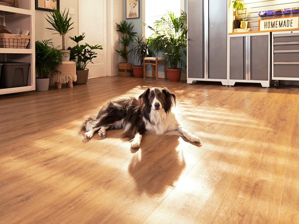 luxury plank gray oak